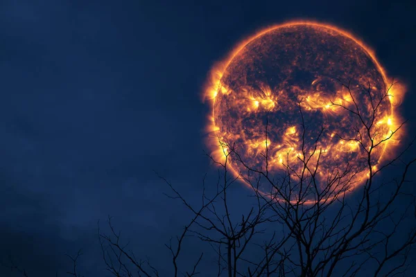 Halloween Sol Espalda Silueta Árbol Cielo Nocturno Elementos Esta Imagen —  Fotos de Stock
