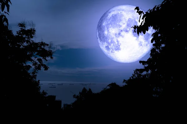 Super Voller Blauer Mond Zurück Silhouette Baum Und Bunten Himmel — Stockfoto