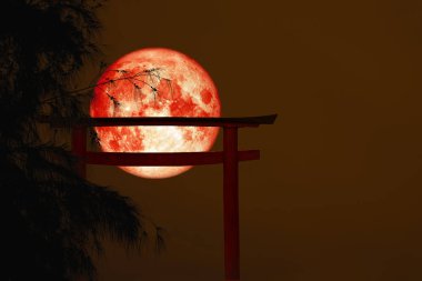 kan ay sırt siluet yakın ahşap Japon ayağı stand üzerinde ağaç günbatımı sky, Nasa tarafından döşenmiş bu görüntü unsurları