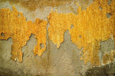 pas ve beton duvar yüzeyi erozyon yeraltı suyu tarafından zarar görmüş