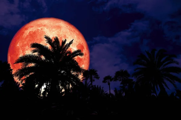Silueta Trasera Luna Sangre Super Roja Antiguo Cielo Nocturno Palmeras — Foto de Stock