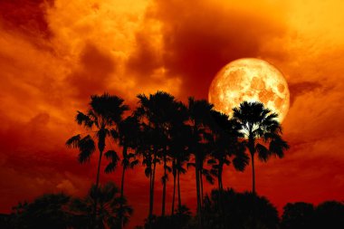 Tam kan ay sırt siluet yüksek avuç içi koyu kırmızı turuncu gece gökyüzü, Nasa tarafından döşenmiş bu görüntü unsurları