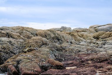 kayaların ya da mercan bir grup veya bir sırt kum su yüzey mavi gökyüzü arka plan yakınındaki resif olduğunu