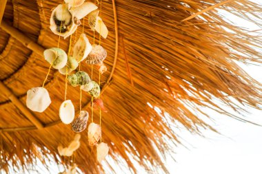 varitys hareket eden deniz hayvanı kabuğu hatırası yaz aylarında plaj şapka bekle