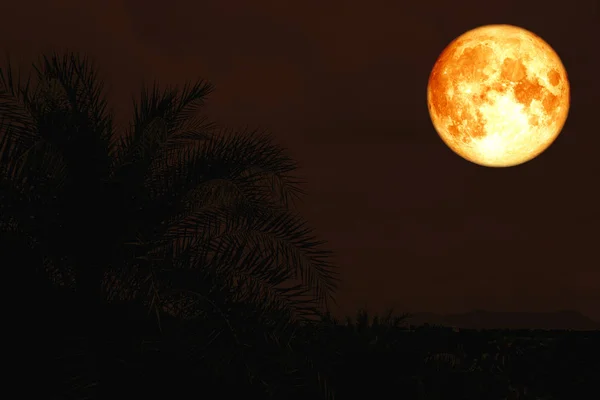Super Silueta Luna Sangre Antiguo Cielo Nocturno Palmeras Elementos Esta — Foto de Stock