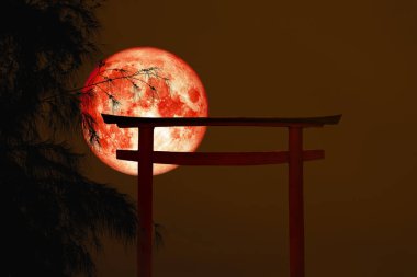 kan ay sırt siluet yakın ahşap Japon ayağı stand üzerinde ağaç günbatımı sky, Nasa tarafından döşenmiş bu görüntü unsurları