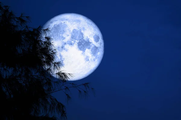 Silueta Trasera Luna Azul Árbol Noche Cielo Rojo Elementos Esta — Foto de Stock