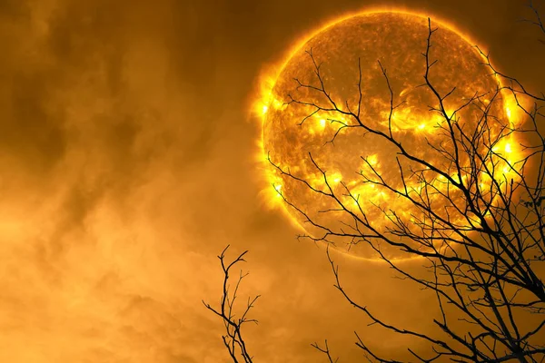 Halloween Slunce Zpět Silueta Strom Noční Obloha Prvky Tohoto Obrázku — Stock fotografie