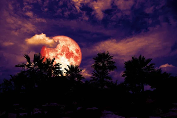 Rode Maan Terug Silhouet Palmboom Donkere Nacht Heap Wolk Elementen — Stockfoto