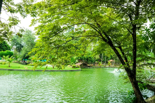 Rybník Veřejném Parku Strom Rostlin Květin Trochu Vlny Vodě Pro — Stock fotografie