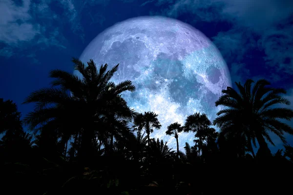 Silueta Trasera Super Azul Luna Antigua Palmera Noche Cielo Azul —  Fotos de Stock