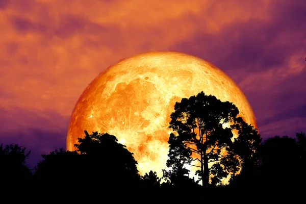 红血月背剪影树夜红天 这张图片的元素由 Nasa — 图库照片