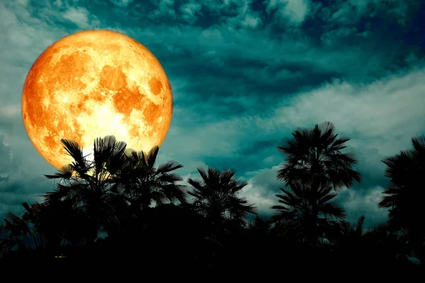 Luna Llena Sangre Espalda Silueta Palma Noche Oscura Montón Nubes — Foto de Stock