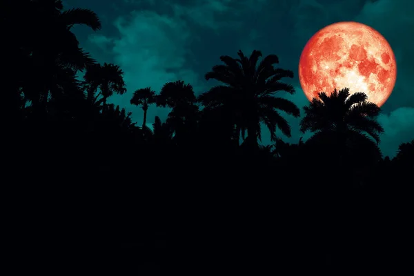 Silueta Trasera Luna Sangre Roja Antiguo Cielo Nocturno Palmeras Elementos —  Fotos de Stock