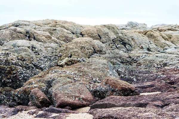 Риф Представляет Собой Группу Пород Кораллов Хребет Песка Близлежащей Поверхности — стоковое фото