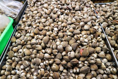 Taze Cockle buzdolabında panelindeki üst üste yerleştirilir. Müşteriler için çiğ gıda satın almak