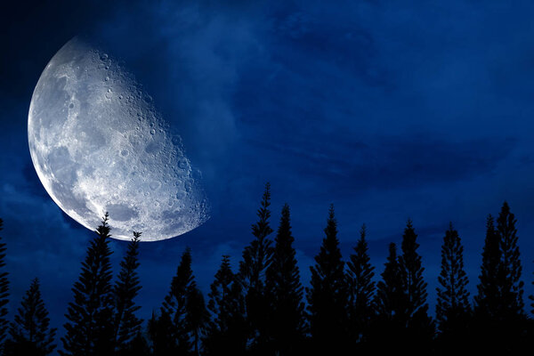 Half moon back silhouette pine in dark night sky, Elements of this image furnished by NASA