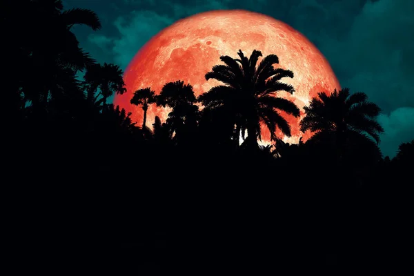 Super Red Blood Moon Back Silhouette Ancient Palm Night Sky — Stock Photo, Image