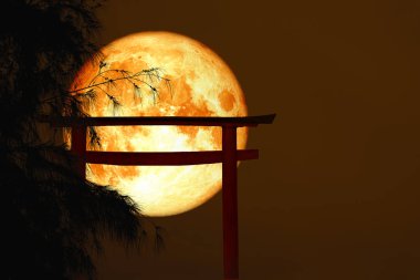 kan ay sırt siluet yakın ahşap Japon ayağı stand üzerinde ağaç günbatımı sky, Nasa tarafından döşenmiş bu görüntü unsurları