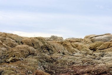 kayaların ya da mercan bir grup veya bir sırt kum su yüzey mavi gökyüzü arka plan yakınındaki resif olduğunu