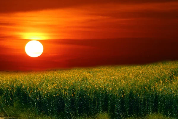 Sonnenhanf Tal Und Der Sonnenuntergang Und Der Farbenhimmel — Stockfoto