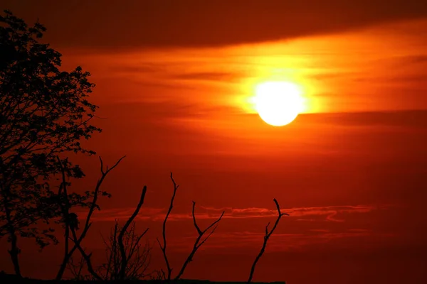 Sunset Sundawn Και Σιλουέτα Ξηρή Δέντρο Σύννεφο Πολύχρωμο Ουρανό — Φωτογραφία Αρχείου