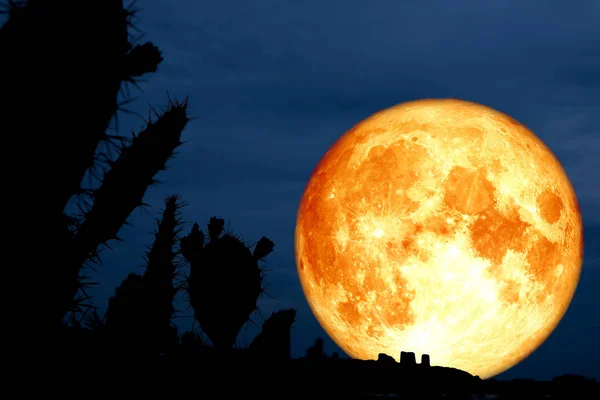 Супер Полнолуние Полный Силуэт Кактус Пустыне Земли Элементы Этого Изображения — стоковое фото