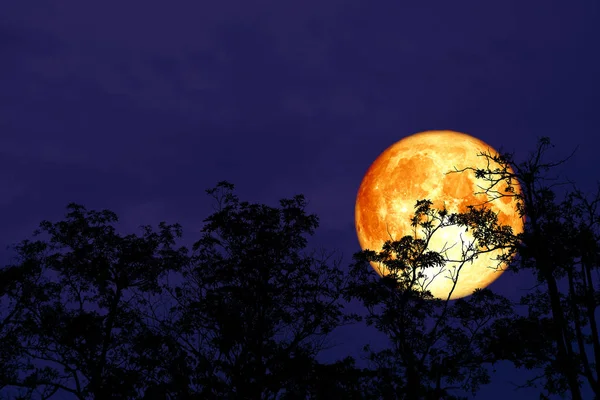 Red Blood Moon Back Silhouette Power Electric Line Elements Image — Stock Photo, Image