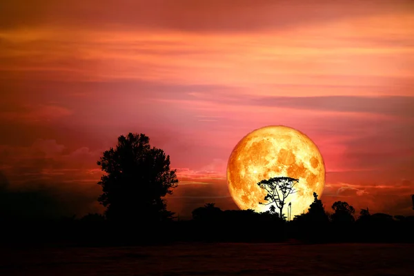 Luna Llena Sangre Nuevo Sobre Árbol Silueta Campo Cielo Nocturno — Foto de Stock