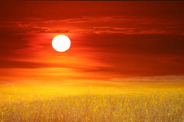 Cáñamo Valle Atardecer Cielo Colorido — Foto de Stock