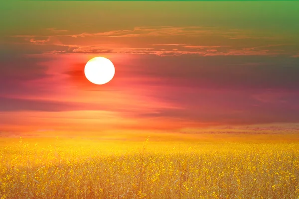 Sonnenhanf Tal Und Der Sonnenaufgang Und Der Bunte Himmel — Stockfoto