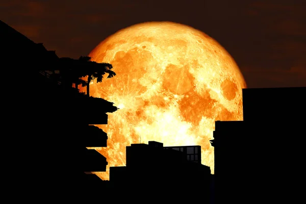 Sangre Luna Nuevo Silueta Edificio Sobre Árbol Noche Rojo Cielo —  Fotos de Stock