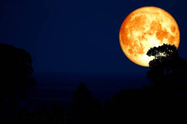 kan ay sırt siluet ağaç ve bitki ve gece gökyüzü, Nasa tarafından döşenmiş bu görüntü unsurları üzerinde bulut