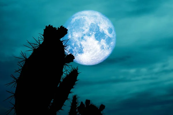 Azul Luna Atrás Silueta Cactus Desierto Tierra Elementos Esta Imagen — Foto de Stock