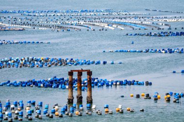 Kabuklu deniz ürünleri çiftliği kabuklu deniz ürünleri yer olmasını iple deniz altında kalan plastik tank yapılır