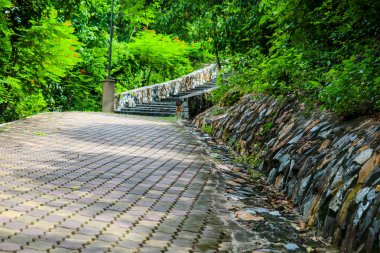 Bahçe ve yeşil ağaçların granit merdiven ve taş duvarlar