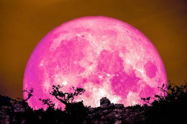 geri üzerinde bitki ve ağaç cliff gece gökyüzü, Nasa tarafından döşenmiş bu görüntü unsurları üzerinde pembe ay