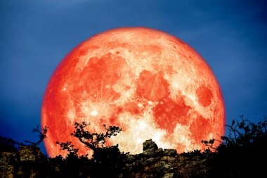 kanlı ay geri üzerinde bitki ve ağaç cliff, Nasa tarafından döşenmiş bu görüntü unsurları üzerinde