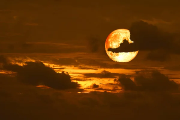 Lupo Luna Indietro Sulla Nube Cumulo Silhouette Sul Cielo Tramonto — Foto Stock