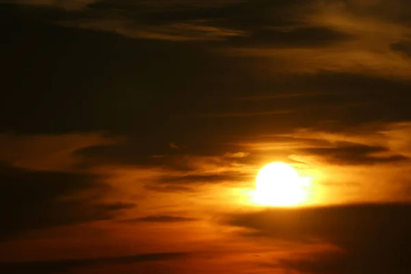 Amanhecer Sol Grupo Silhueta Mar Pássaros Mosca Linha Céu — Fotografia de Stock