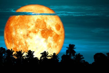 Süper kan kar ay gece gökyüzü, Nasa tarafından döşenmiş bu görüntü unsurları üzerinde ağaç arka siluet