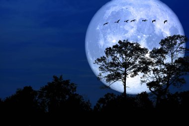 Süper kar ay sırt siluet kuş alanı gece gökyüzünde, Nasa tarafından döşenmiş bu görüntü unsurları