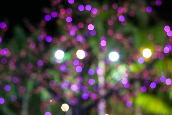 Rozmazané Barevné Světlo Strom Zdobí Noční Zahradě — Stock fotografie