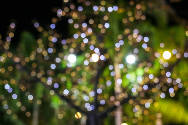 Lumière Colorée Floue Sur Arbre Décorer Dans Jardin Nuit — Photo