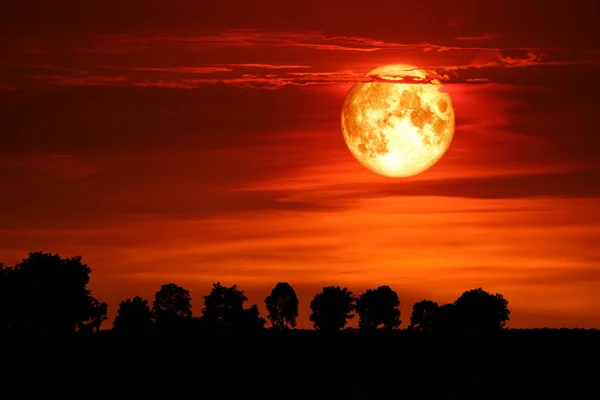 Super Sangre Luna Nieve Espalda Silueta Árbol Cielo Rojo Oscuro — Foto de Stock