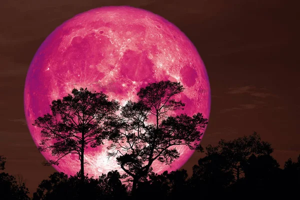 Silueta Trasera Luna Nieve Super Rosa Campo Cielo Nocturno Elementos —  Fotos de Stock