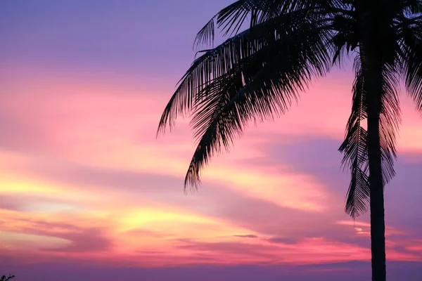 deniz ve siluet ağaç ve renkli bulut akşam gökyüzü günbatımı