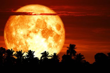 Süper kan kar moon koyu kızıl gökyüzü, Nasa tarafından döşenmiş bu görüntü unsurları üzerinde ağaç arka siluet