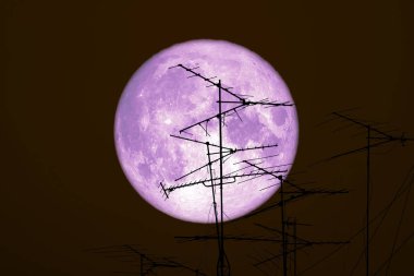 siluet atenna gece gökyüzü üzerinde aya geri tam karga