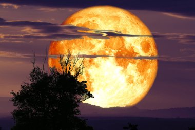 tam karga aya geri siluet bulut ve gece dağda sk